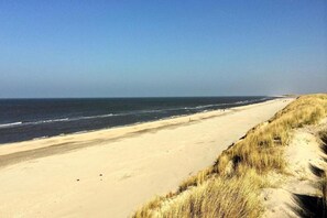A beach with a sandy shore and dunes.