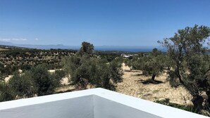Une vue d’un paysage côtier avec des oliviers et un ciel bleu dégagé.