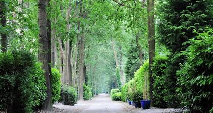 Chalet in Parc de Kievit with Private Garden