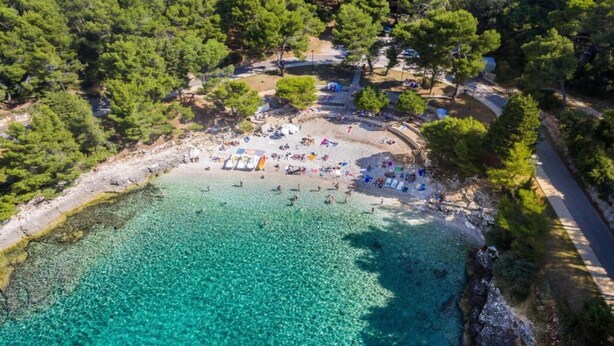 Vista aérea de una playa con aguas turquesas cristalinas, rodeada de densos pinos verdes.