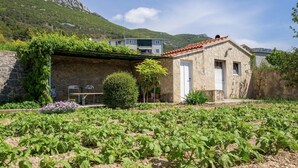 Ein Steinhaus mit Ziegeldach, umgeben von einem Garten mit verschiedenen Pflanzen und Blumen.