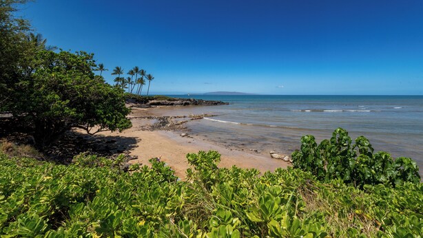 A beach with clear skies, palm trees, and rocky shoreline. - Recent remodel - Large 1BR w/ ocean view and walk to excellent beaches/eateries (Kihei)