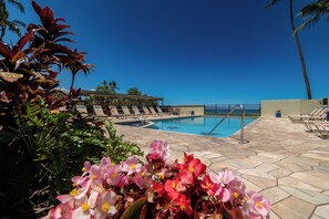 Pool - Recent remodel - Large 1BR w/ ocean view and walk to excellent beaches/eateries (Kihei)
