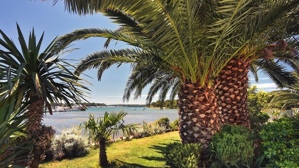 Property grounds - Airconditioned studio apartment with seaview (Medulin)