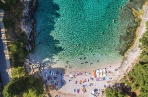 在海灘附近