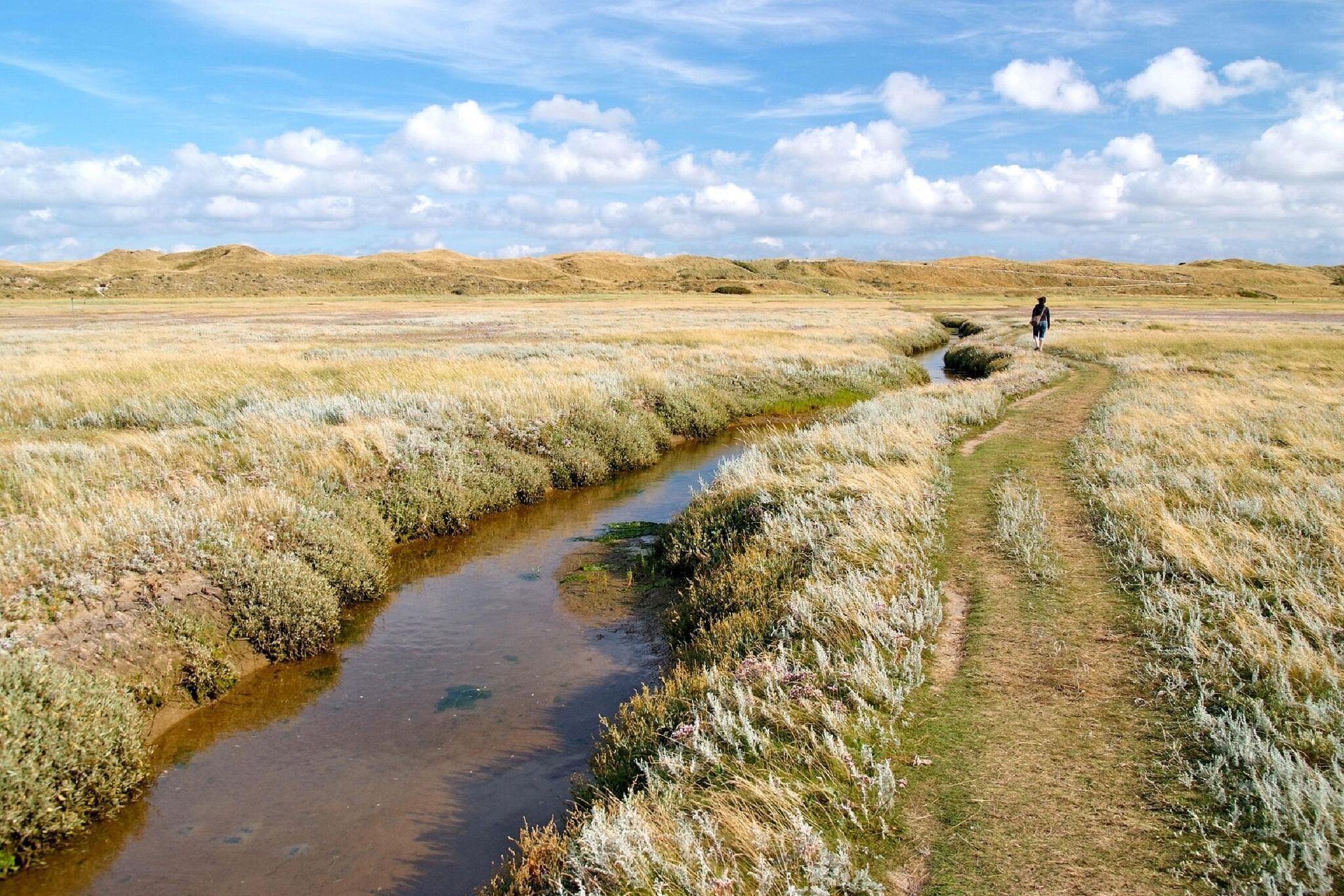 A natural landscape with a stream, a dirt path, and a person walking away.