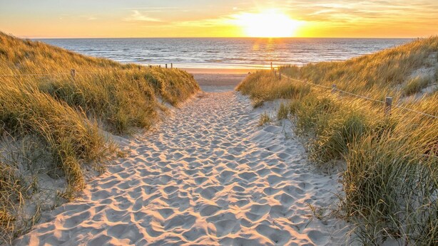 A sandy beach path leading to the ocean with a sunset in the background.