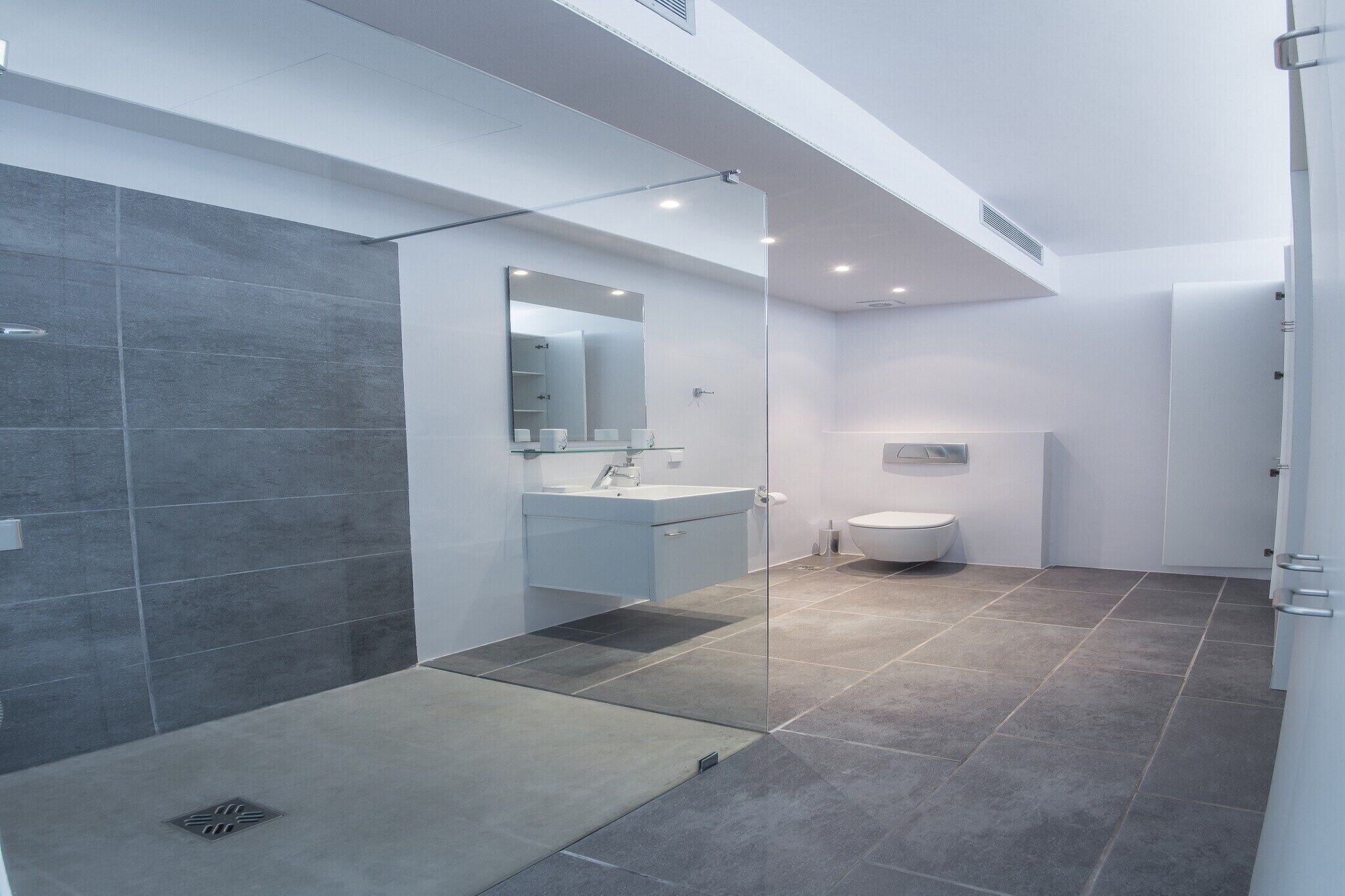 A modern bathroom with a glass shower enclosure, a white sink, and a toilet.