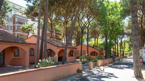 A row of terracotta-roofed buildings with arched windows and a paved street lined with trees.