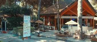 Bungalow in Po Delta Park with Beach Access