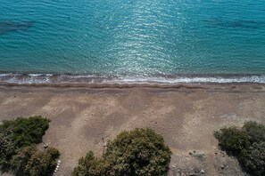 An aerial view of a beach with a clear sky, sandy shore, and sparse vegetation.