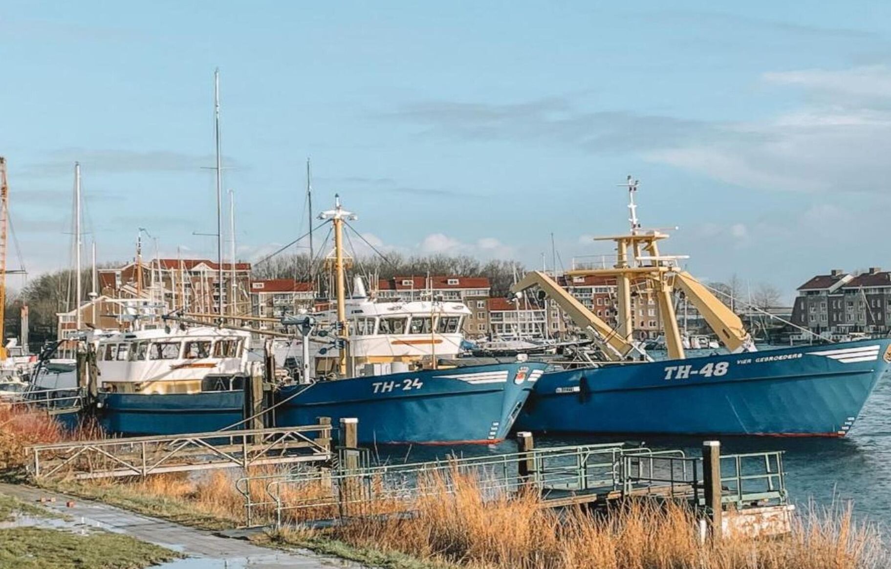 Un port de plaisance où sont amarrés plusieurs bateaux, dont l’un est identifié par le numéro « TH-48 ».