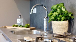 Une cuisine dotée d’un évier en acier inoxydable, d’un robinet moderne et d’un pot de basilic.