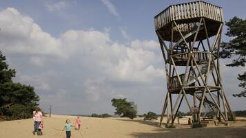 Una playa arenosa con una torre de madera para observar.