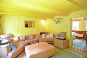 智能電視、壁爐、DVD 播放機