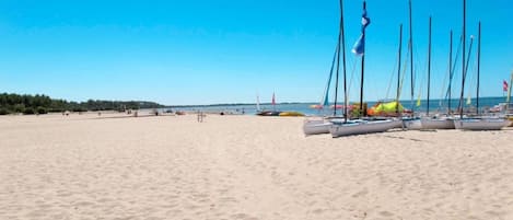Une plage de sable où plusieurs voiliers sont amarrés près du rivage.
