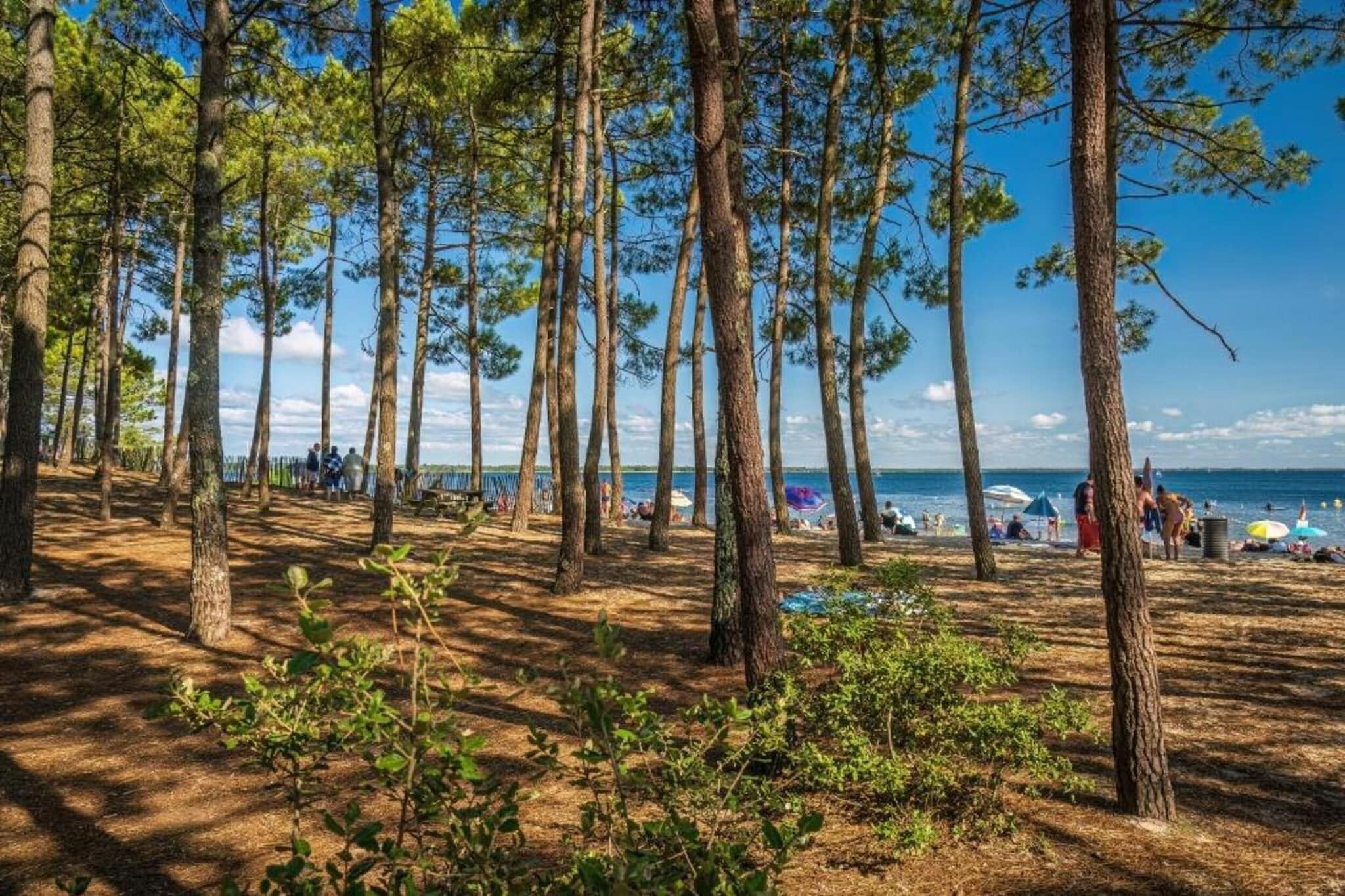 Une zone boisée avec une plage en arrière-plan.