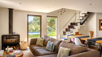 TV connectée, cheminée, livres