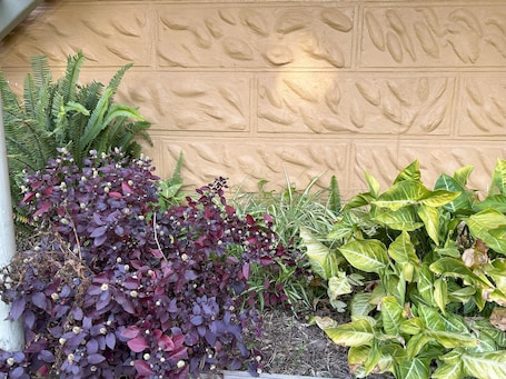 Decoración personalizada, muebles diferentes y cortinas blackout