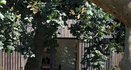 Studio de Jardin Indépendant "La Petite Garenne "