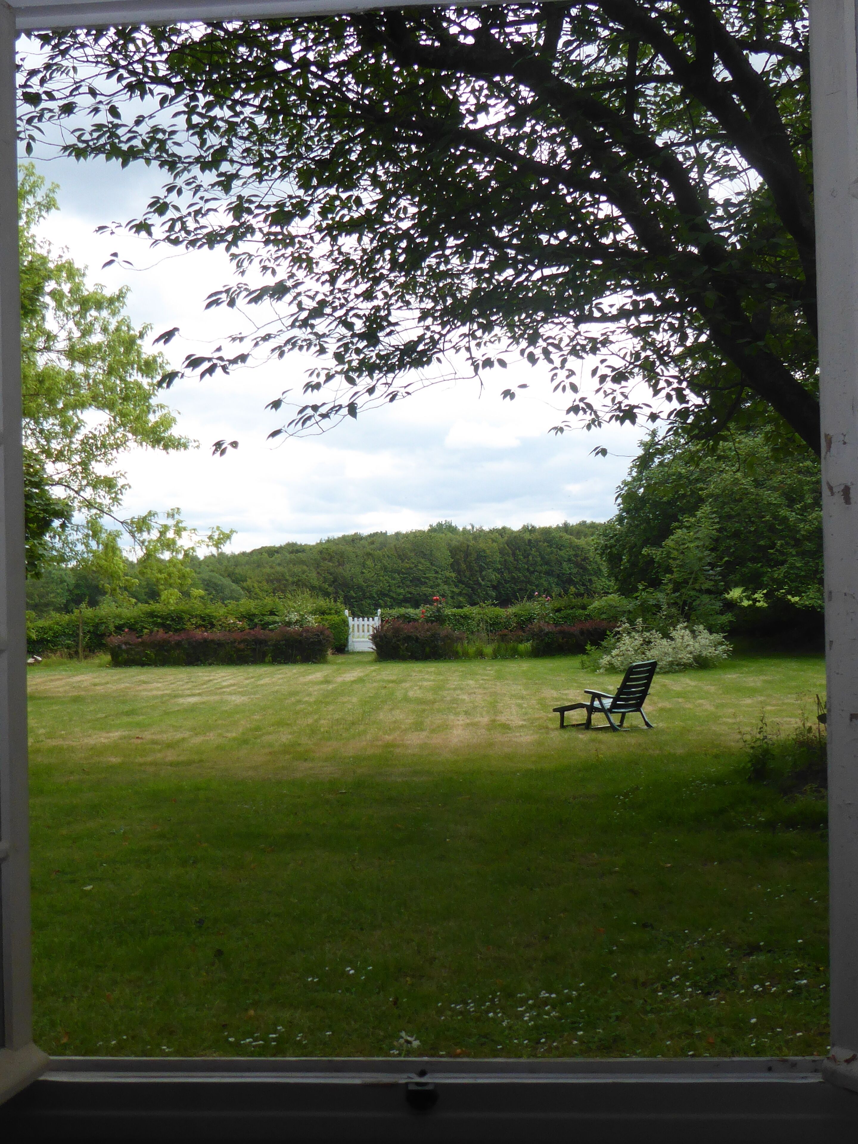 A view through a window of a grassy yard with a bench and a white gate.