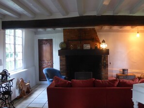 Fernseher, Kamin, Tischtennisplatte, Bücher