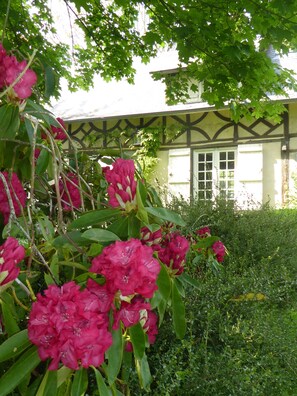 Detalle del exterior