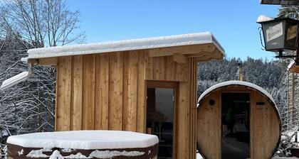 Vacation home WernesgrĂŒn in the Vogtland on the edge of the forest, modern furnishings with sauna