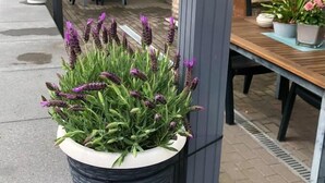 En udendørs patio med overdækket siddeområde, plantekasser og en betonbelagt gulv.