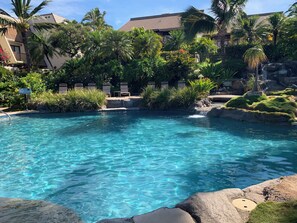 A clear pool with a rocky edge, surrounded by lush greenery and palm trees.