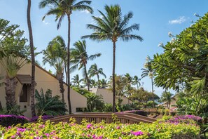 Un complex turístic amb palmeres, un pont i un edifici amb façana beix.