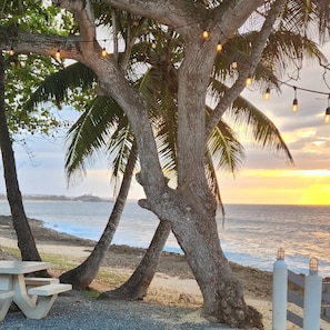 A beach scene with palm trees, a bench, and string lights.