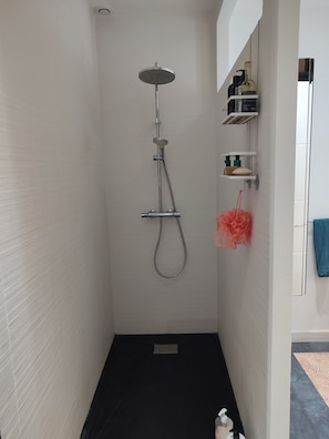 Dusche, Haartrockner, Handtücher, Seife