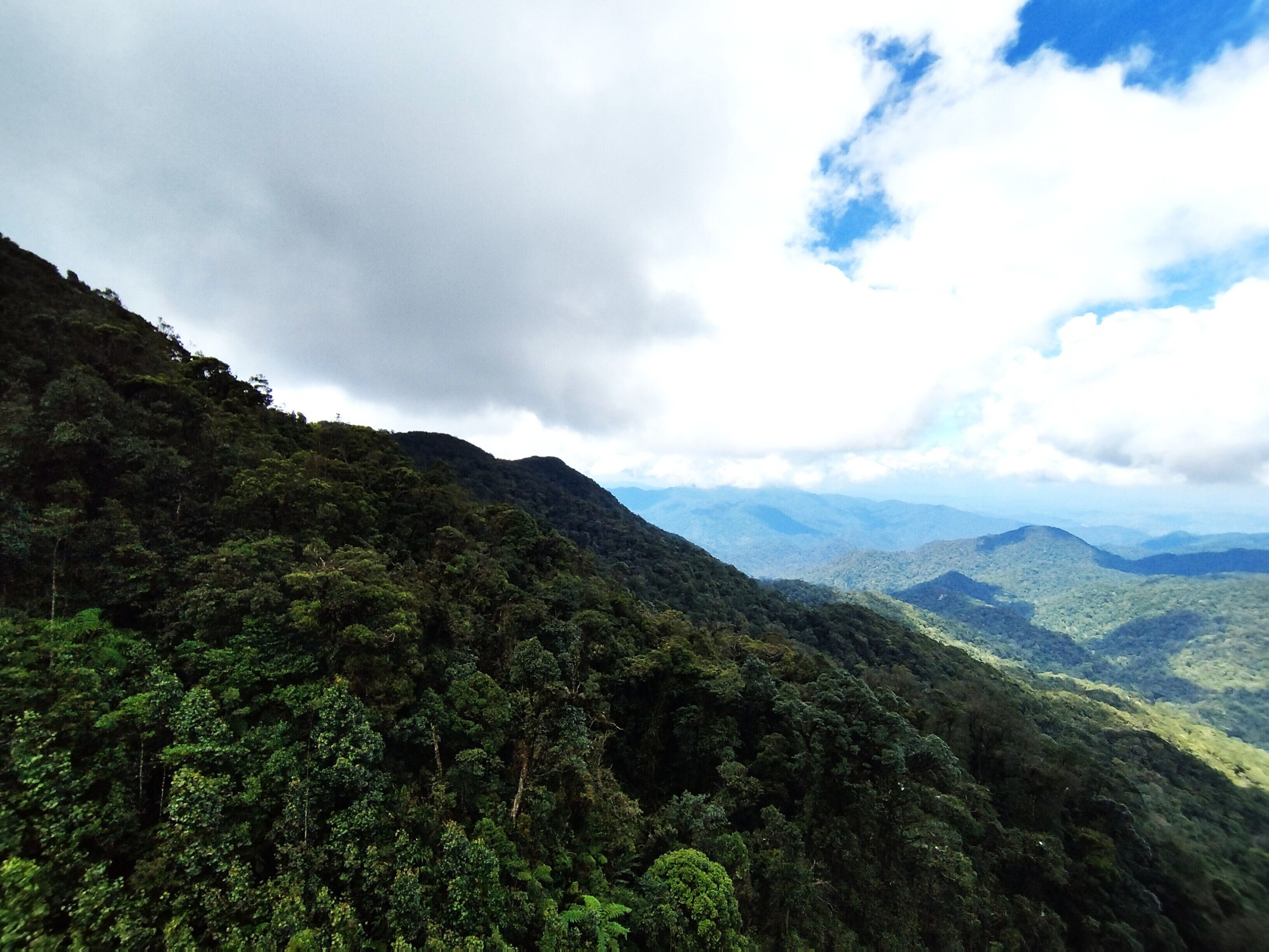 A mountainous landscape with dense forest.