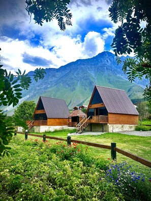 Front of property - Hillside kazbegi (Kazbegi)