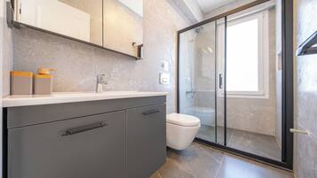 Hair dryer, towels, soap, toilet paper