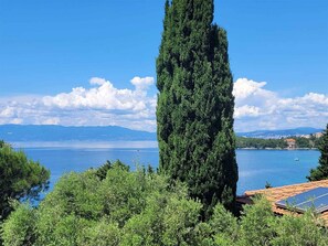 Un paisaje costero con un alto árbol perenne, un cielo azul despejado y una masa de agua con barcos.