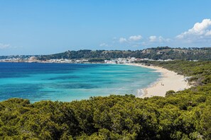 Playa en los alrededores 