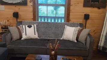 Smart TV, fireplace, video games, books