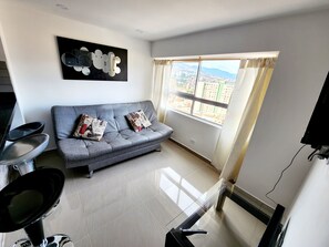 Flat-screen TV