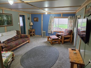 Smart TV, DVD player, video library