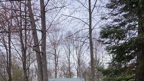 A small cabin with a wooden deck and a door, surrounded by trees and a grassy area.
