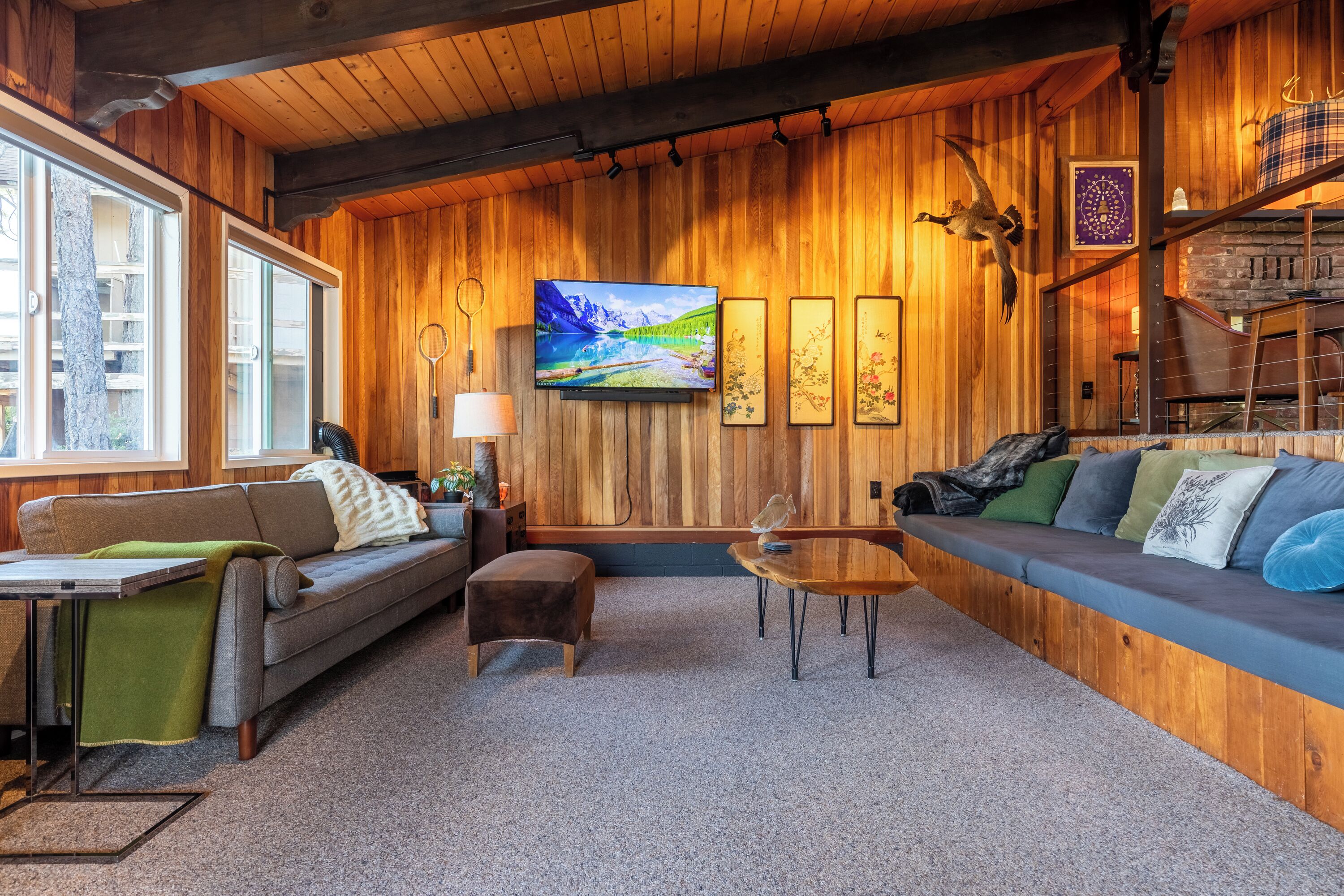 Smart TV, lareira, videogames, livros