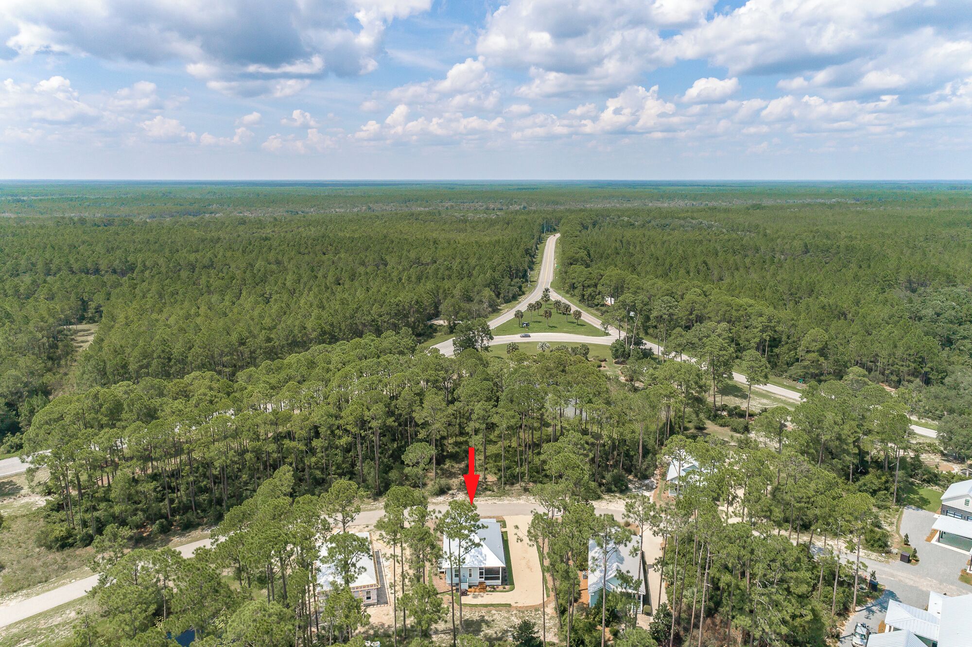 A remote, forested area with a road leading to a small cluster of buildings.