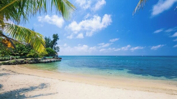 Een strand met helder turquoise water, wit zand en palmbomen.