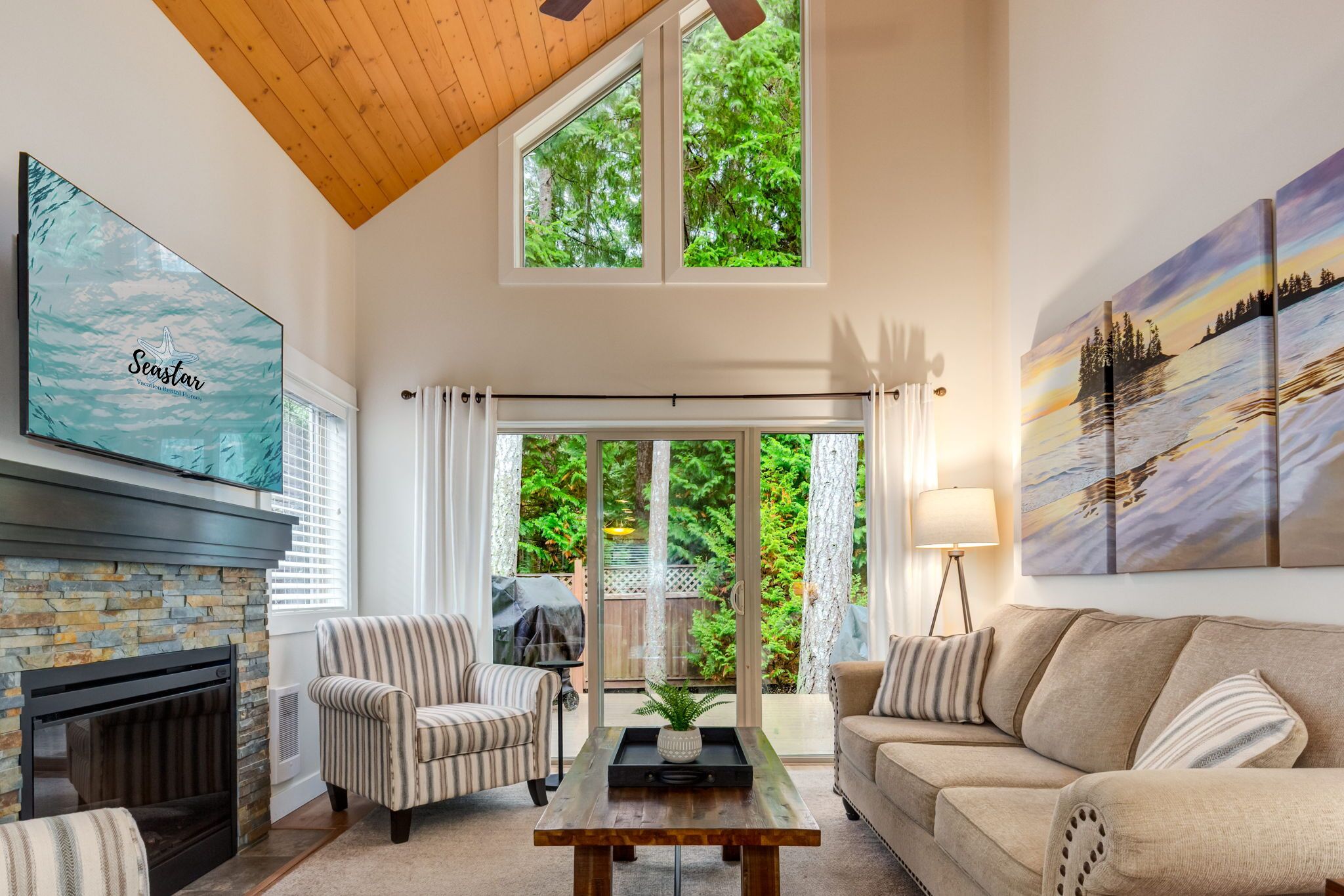 TV connectée, cheminée, livres