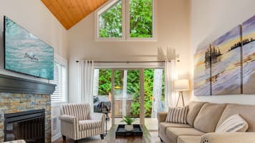 TV connectée, cheminée, livres