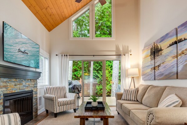 Smart TV, fireplace, books