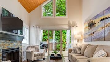 TV connectée, cheminée, livres