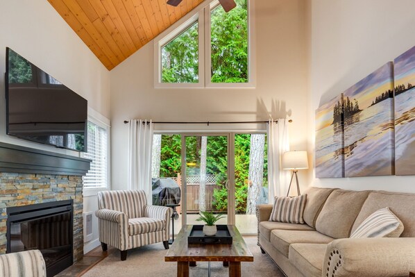 Smart TV, fireplace, books